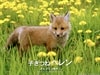 http://www.newswatch247.com/pics/default/download/d6a4c2b18f9b866f57bc0f6fc9affe2a.jpg