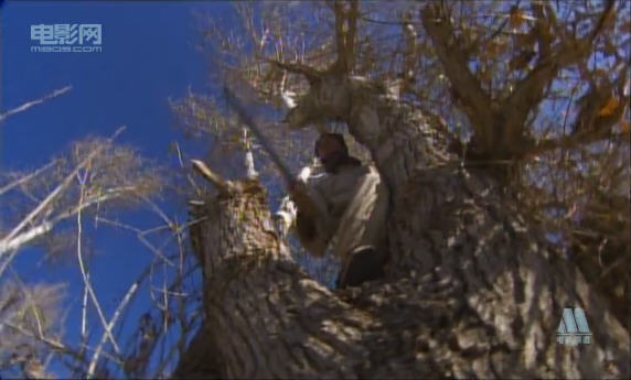 http://www.newswatch247.com/pics/default/download/d84ddad52d3bb0400930fc92a34794b7.jpg
