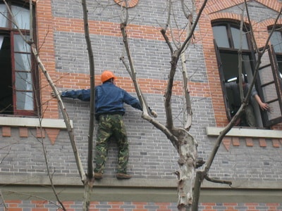 http://www.newswatch247.com/pics/default/download/d9428fd8074ff3324a5ed15eec463838.jpg