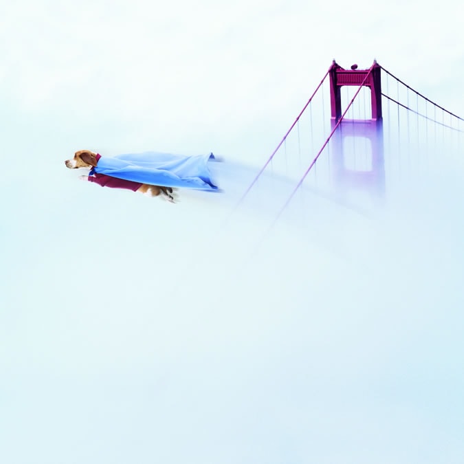 http://www.newswatch247.com/pics/default/download/da0697c4c8e74be791de439d5f9370f6.jpg