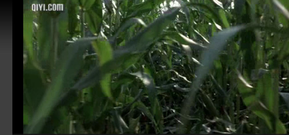 http://www.newswatch247.com/pics/default/download/dbc76bd17db40971371bc4b087b0c3dd.jpg