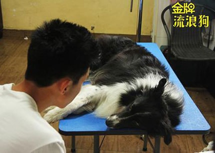http://www.newswatch247.com/pics/default/download/dc472821505b8119ac9a2d1d4da1b8e5.jpg