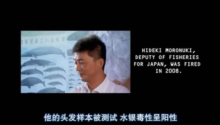 http://www.newswatch247.com/pics/default/download/dc7bc85561d6f61d00a5d095a207ad60.jpg