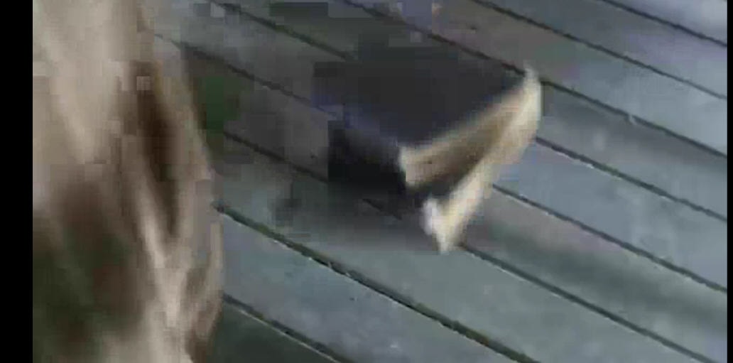 http://www.newswatch247.com/pics/default/download/dd4ded9ea8e6fd8b2ebf314ffeec3cf9.jpg
