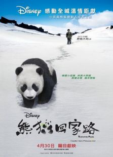 熊貓回家路（國語）