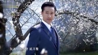 臺視八點(diǎn)檔《春梅》片頭