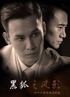 黑狐之風(fēng)影
