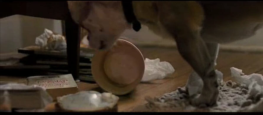 http://www.newswatch247.com/pics/default/download/e6ee0948370aff6dd15be42139686633.jpg