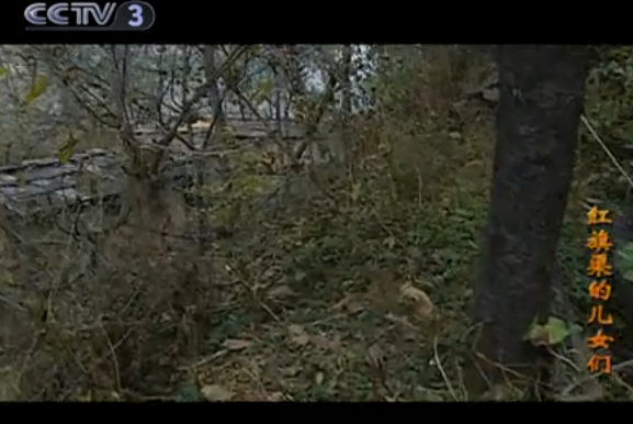 http://www.newswatch247.com/pics/default/download/e7a747a3c4d7e2f6797aab27c762e740.jpg