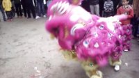 雷州市楊家鎮(zhèn)店前村醒獅隊