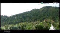 當旺爸爸版斷背山