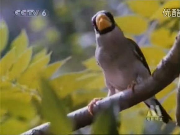 http://www.newswatch247.com/pics/default/download/eaceee29e92e9428585d06f3b220d67d.jpg