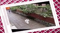 電視劇《不一樣的美男子》浪漫大結局