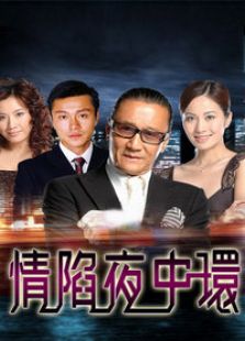 情陷夜中環(huán) 第1部
