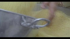 預告片