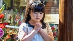 先行版預(yù)告片