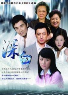 再婚進(jìn)行時(shí)