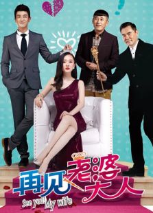 再見，老婆大人