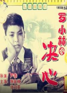 羅小林的決心