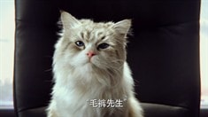中文版預(yù)告片