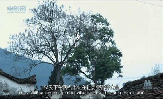 http://www.newswatch247.com/pics/default/download/f52b6430b756295442f2ec7a88bf9738.jpg