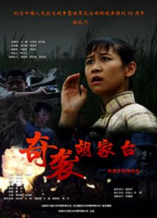 奇襲胡家臺