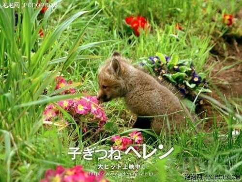 http://www.newswatch247.com/pics/default/download/f8272d1474f2c9d7048f723c6f9d8e6f.jpg