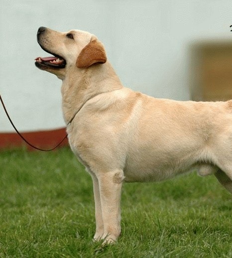 http://www.newswatch247.com/pics/default/download/f8abc55d81e01057ea3f9c78c8a68240.jpg