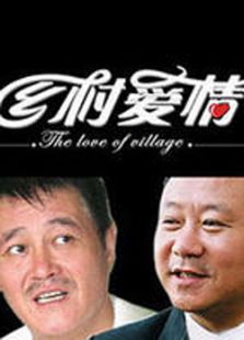 鄉(xiāng)村愛情3