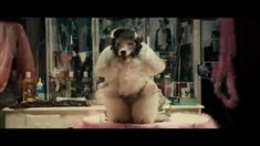 先行版預(yù)告片1