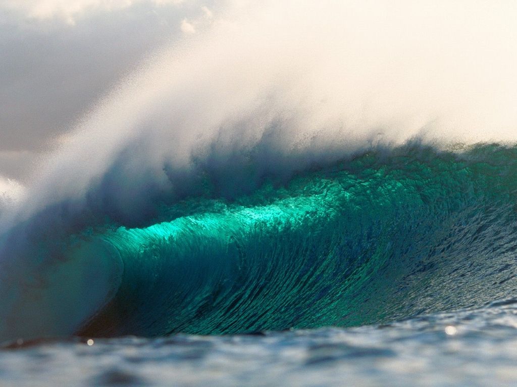 http://www.newswatch247.com/pics/default/download/fc8f500f78ee7a087d78c439711af53f.jpg