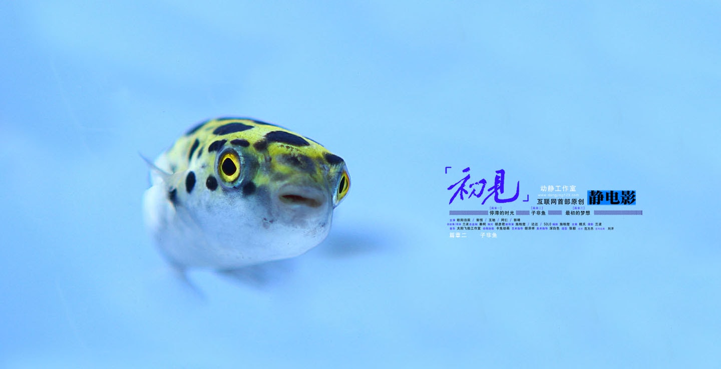 http://www.newswatch247.com/pics/default/download/fc9c52bf02ee359c8e3134ed50f55e9f.jpg