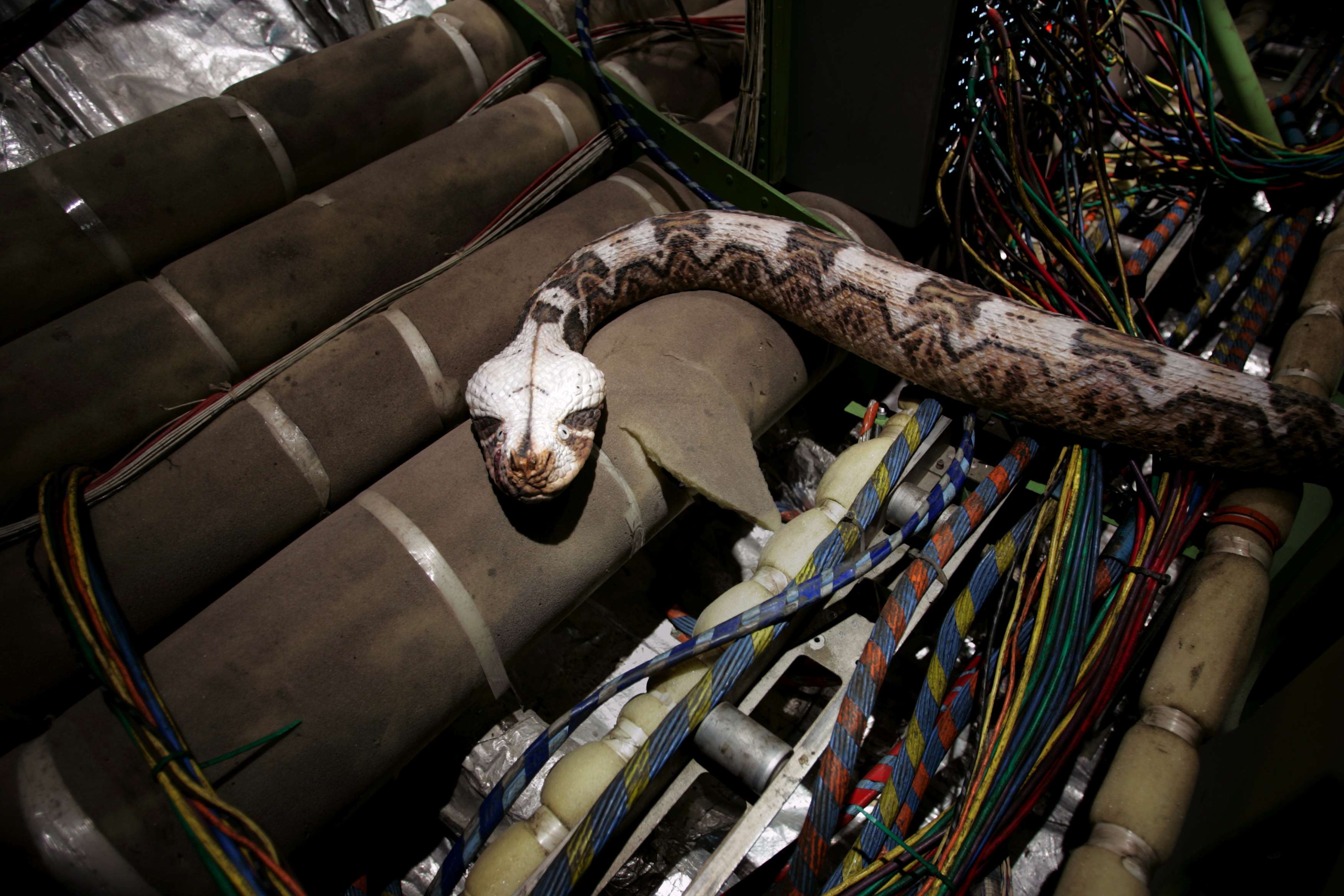http://www.newswatch247.com/pics/default/download/fd9a960262a231f5637cd81fb6540acc.jpg