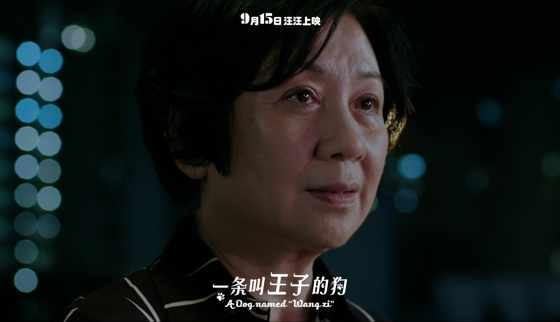 http://www.newswatch247.com/pics/default/download/fe9fdd0213187ce4368cdc78f088bba0.jpg