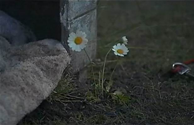 http://www.newswatch247.com/pics/default/download/fef83cb89a19d7aaf47a725d75c80d52.jpg