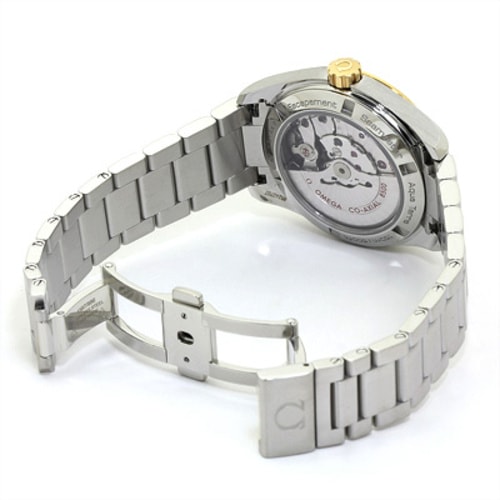 OMEGA/歐米茄海馬天文臺金鋼自動機(jī)械男表(231.20.39.21.06.004)