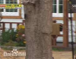 http://www.newswatch247.com/pics/star/pic/13a994a283c3e5cf69d399e2d09d755e.jpg