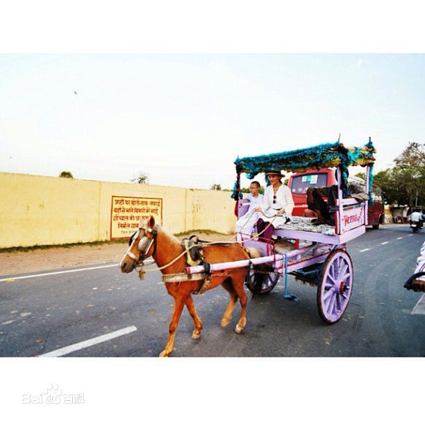 http://www.newswatch247.com/pics/star/pic/1a38cf9da73dcb0fdb02252b38c1d65d.jpg
