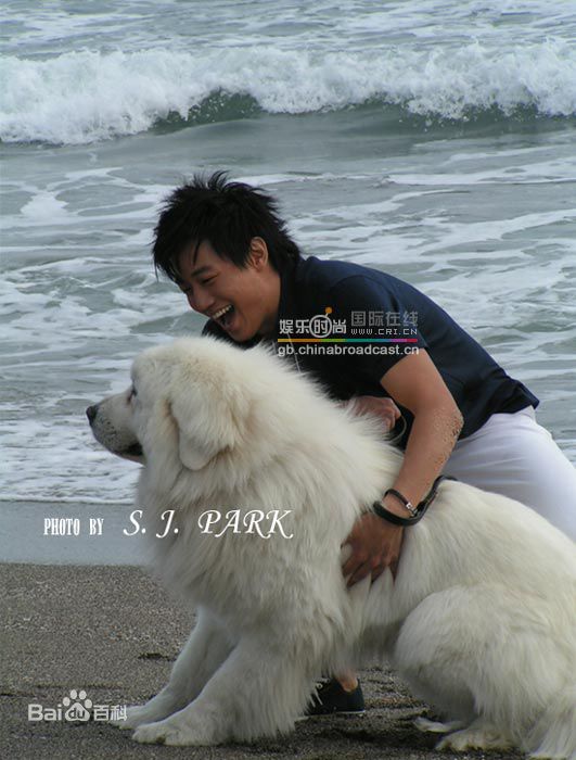 http://www.newswatch247.com/pics/star/pic/31715f713013ab2e35ad5eae274a0c93.jpg