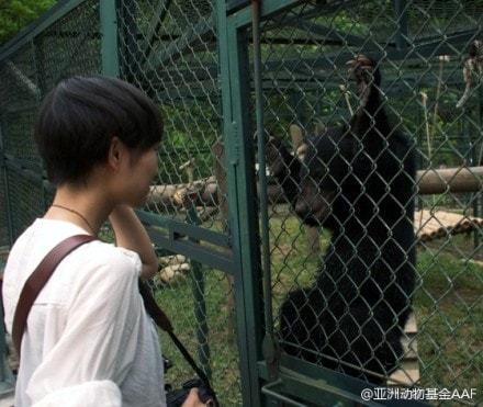 http://www.newswatch247.com/pics/star/pic/80dc0fd72f8260e862bde9674decc4c6.jpg