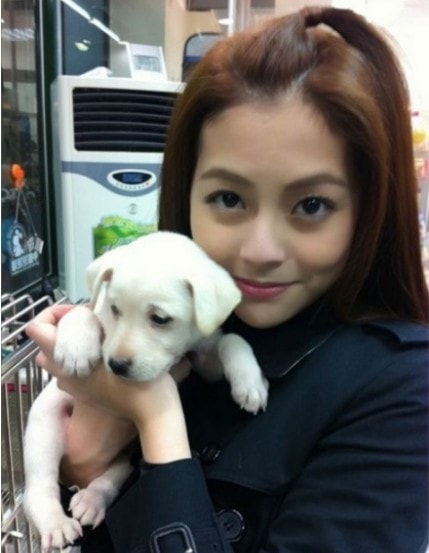 http://www.newswatch247.com/pics/star/pic/e76406833e8b5c00fc1af9f0a6ba27ed.jpg